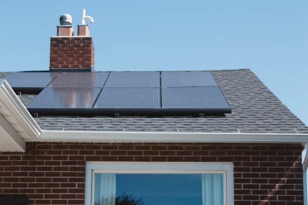 PEST CONTROL STEVENAGE, Hertfordshire. Services: Solar Panel Bird Proofing. Effective Solar Panel Bird Proofing Solutions to Preserve Your Investment in Stevenage by Local Pest Control Ltd